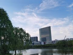 -大兴滨河森林公园