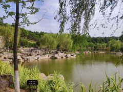 -鹦鹉寺公园