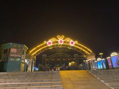 -武汉知音号