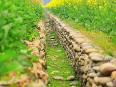 -中国天府农业博览园