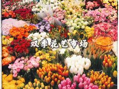 -双季花艺园艺市场(浦东店)