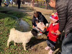 -广东花都香草世界旅游度假区