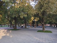 -北京市劳动人民文化宫(太庙)