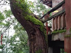 -金堂县云顶石城风景区