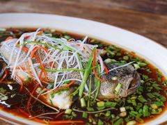 清蒸鲈鱼-悦哉·派对·草坪婚礼·围炉煮茶(三圣乡店)