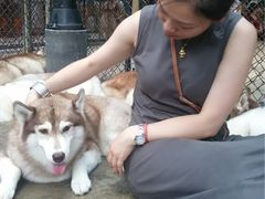 -TrueLove @ Neverland (Husky Cafe)