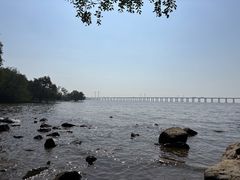 -宝安西湾红树林湿地公园