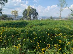 景点-昆明滇池国家级风景名胜区西山景区