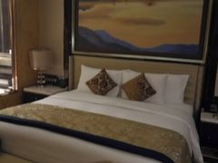 -长沙富力万达文华酒店