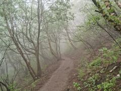 -灵山