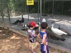 -福建鲤鱼洲酒店