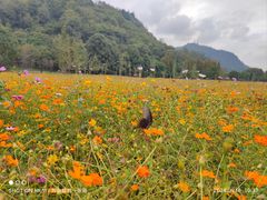 -贵阳市花溪国家城市湿地公园
