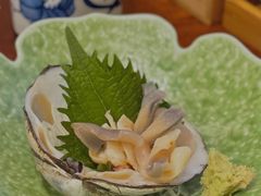 活北极贝刺身-加奈日本料理