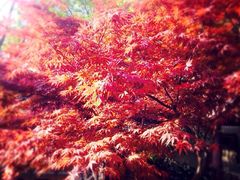 iphone_upload_pic-包公祠