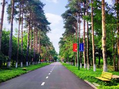 -黑龙江省森林植物园