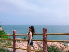 -广东惠东海龟国家级自然保护区