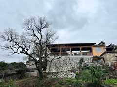 -塔川景区