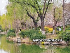 -济南大明湖景区