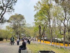 -虞山风景区