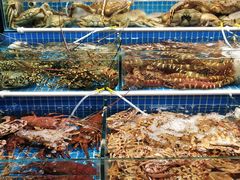 -板桥海鲜广场(文明东店)