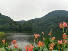 -广州市石门国家森林公园