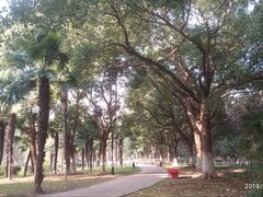 -中央公园(苏州工业园区)