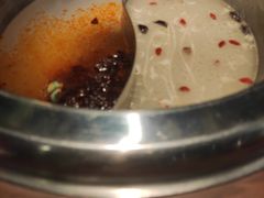 -季季红火锅(动壹店)
