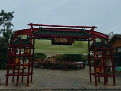 -泗洪洪泽湖湿地景区
