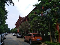-江湾神木园