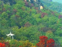 -北京鹫峰国家森林公园