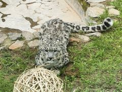 -青藏高原野生动物园