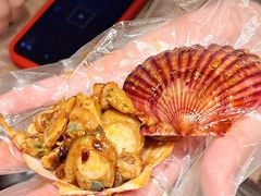 -野人部落(沈阳一店)