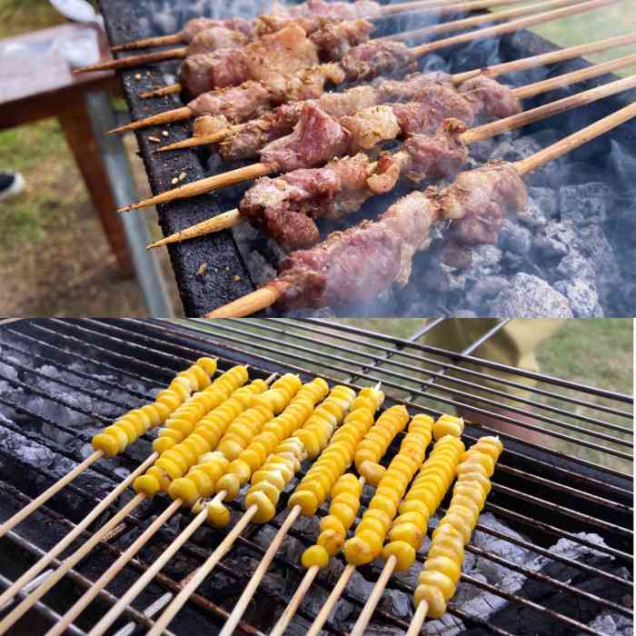 北京龙战军都山草坪自助烧烤