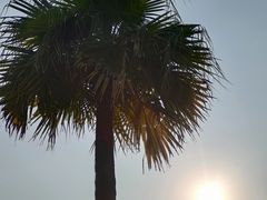 -柳湖沙月沙滩公园