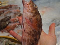 -小厨师·二十年沈家门小海鲜(百井坊巷店)