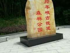 -羚羊峡古栈道森林公园