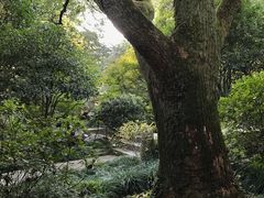 -中国茶叶博物馆(双峰馆区)