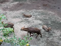 -台州府城(江南长城)