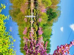 -石家庄市植物园