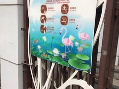 -九龙公园