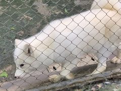 -CoCo都可(嘉定大融城店)