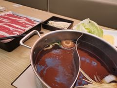 -呷哺呷哺 黄金牧场 (新辰里学清路店)