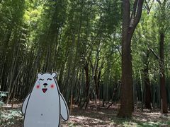 -同里国家湿地公园