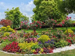 -上海共青森林公园