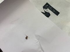 -MIKAKU(万达广场上海宝山店)