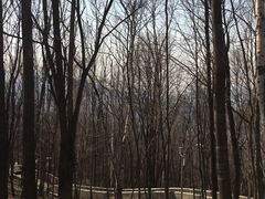 -帽儿山风景区