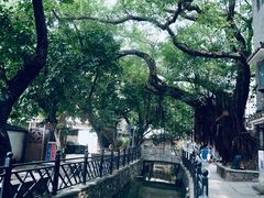 -小洲村