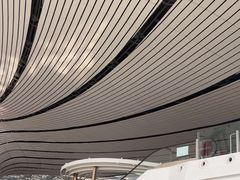 -麦当劳(北京大兴机场二层国内到达(安检外)店)