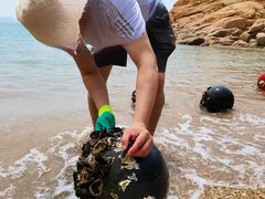 -那琴半岛地质海洋公园