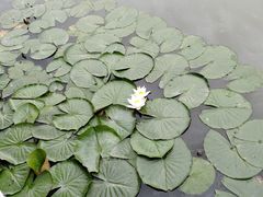 -水岸居湖景农家乐·阳澄湖大闸蟹